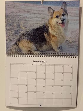 January Page - 2021 Calendar